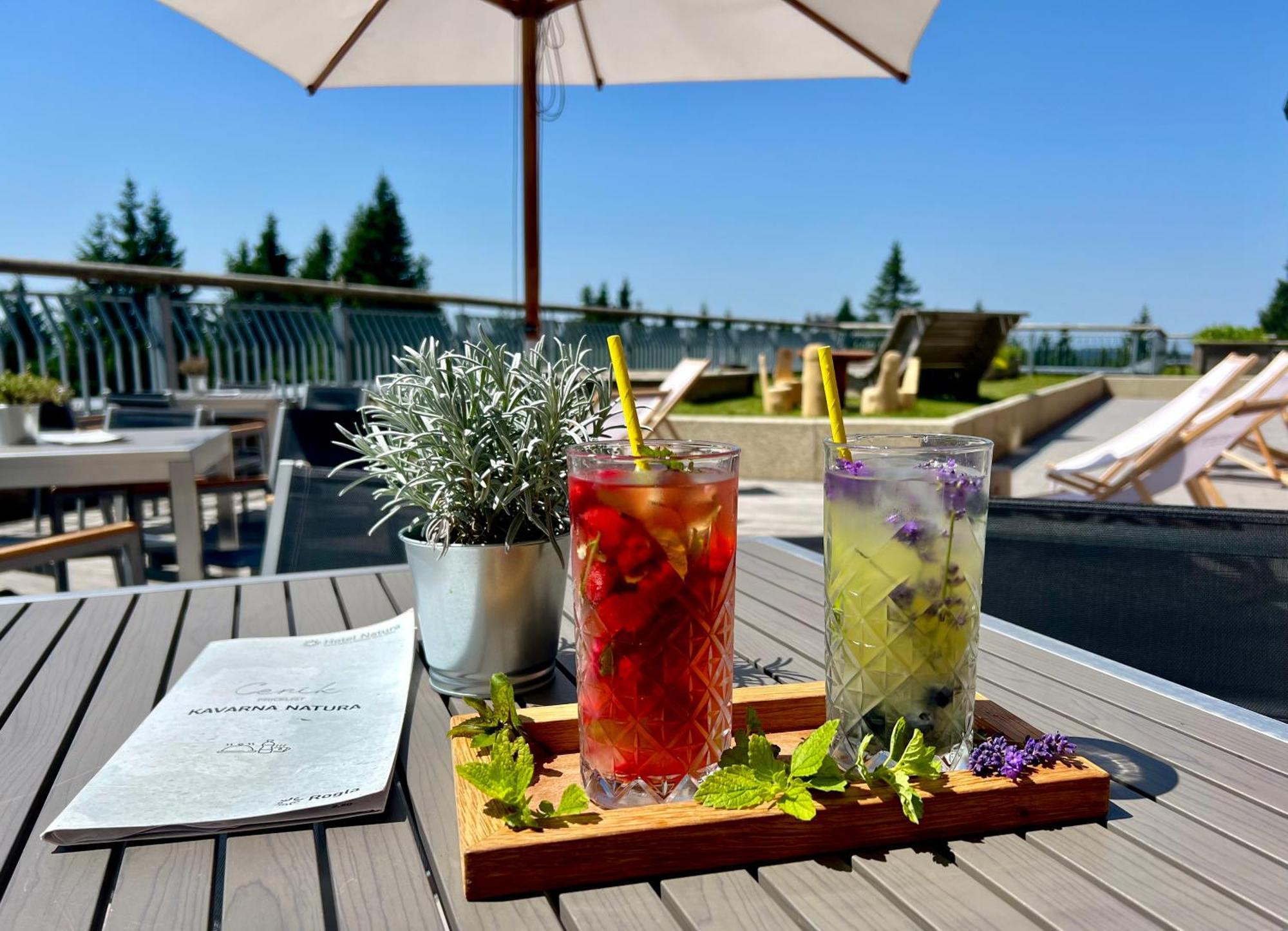 Hotel Natura Rogla Εξωτερικό φωτογραφία